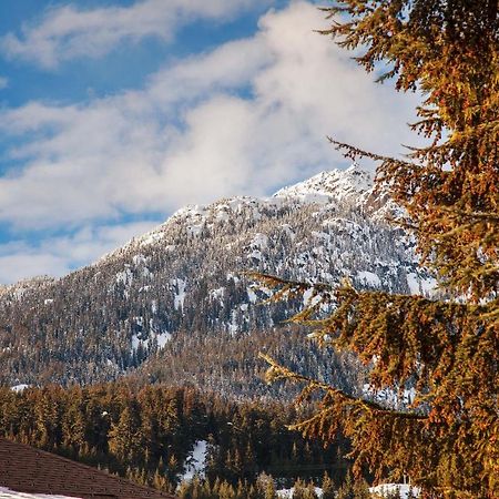 Updated Whistler Creek Studio With Parking Ngoại thất bức ảnh