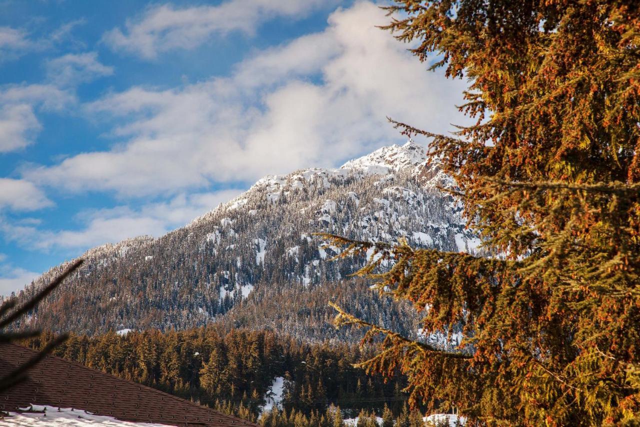 Updated Whistler Creek Studio With Parking Ngoại thất bức ảnh